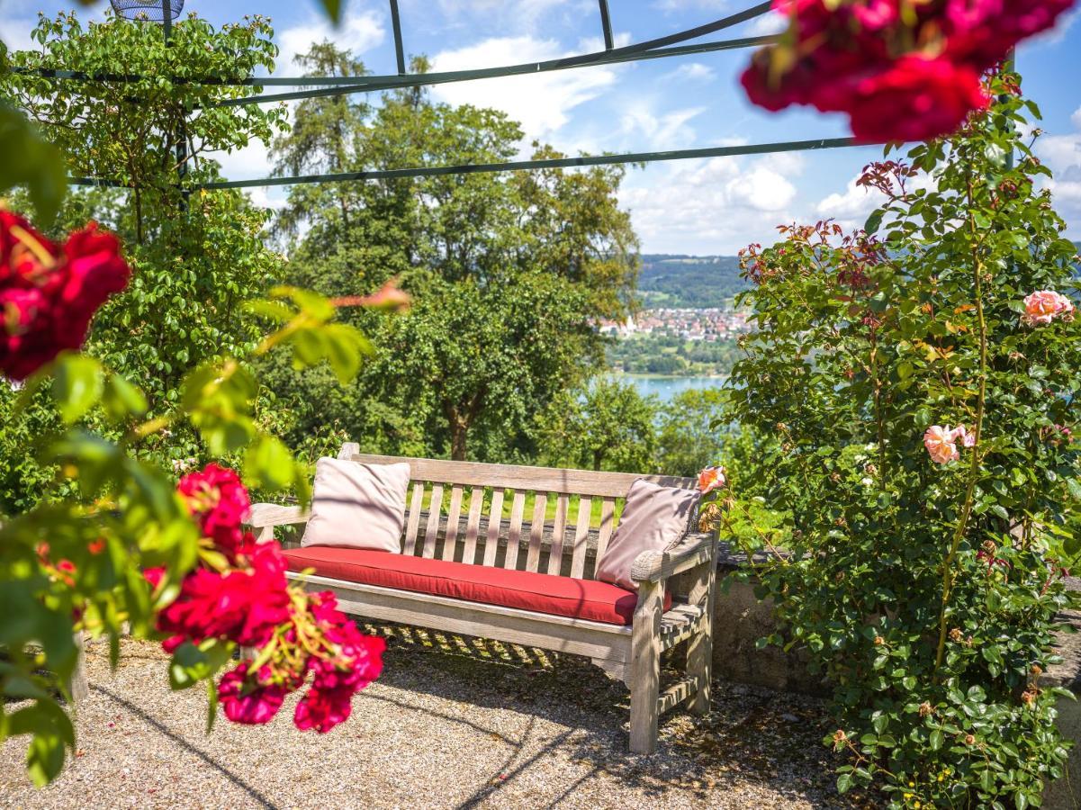 Schloss Freudenfels Eschenz Eksteriør billede