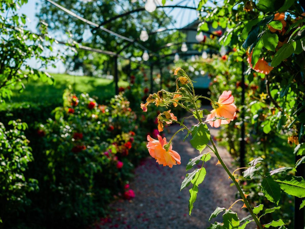 Schloss Freudenfels Eschenz Eksteriør billede