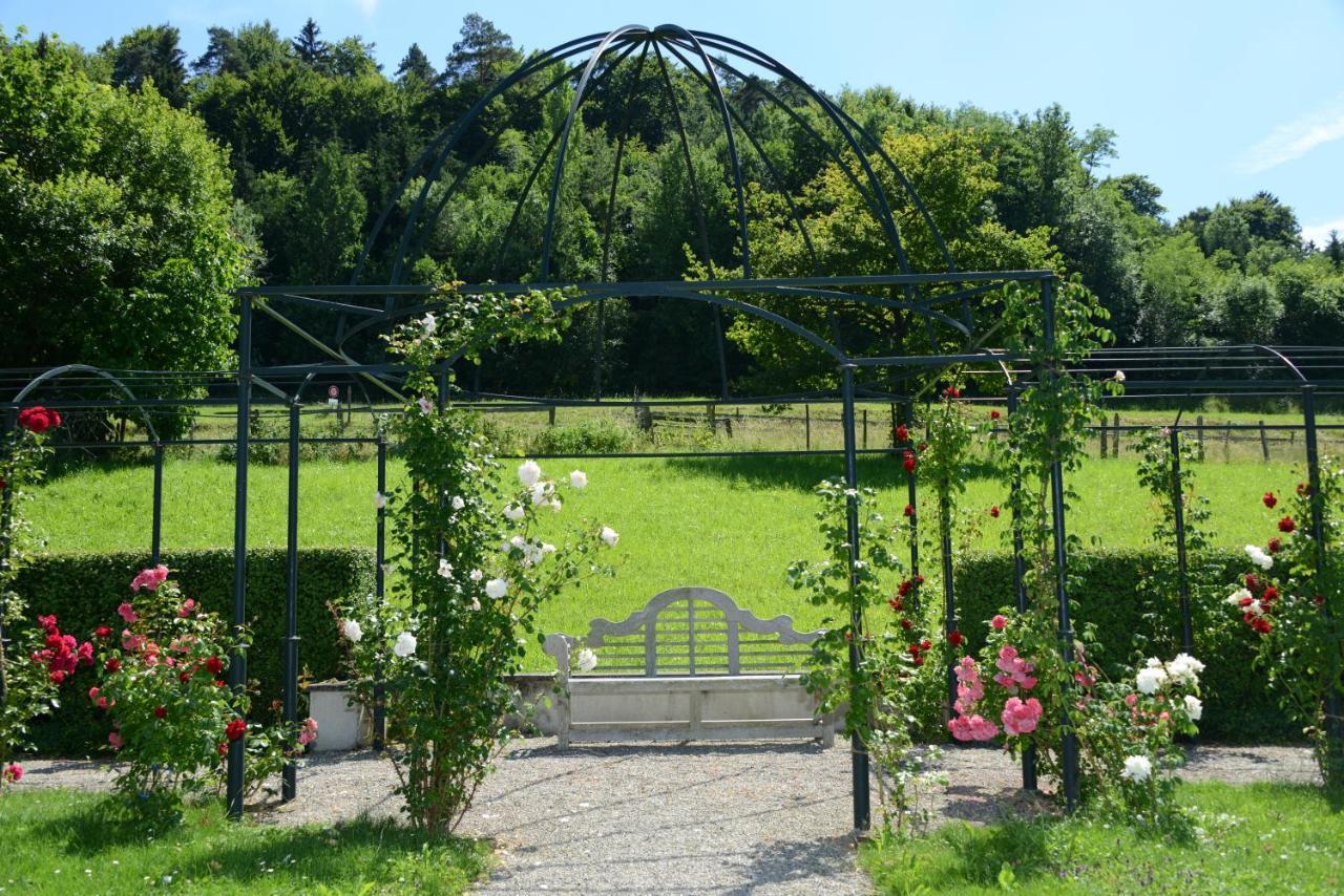 Schloss Freudenfels Eschenz Eksteriør billede